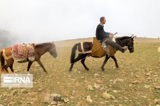 کوچ روایت دلبستگی انسان و طبیعت