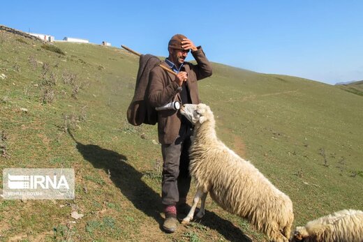 کوچ روایت دلبستگی انسان و طبیعت