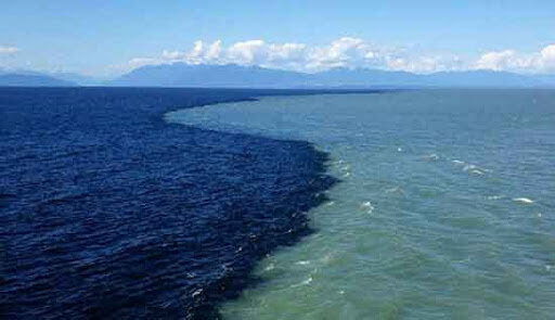ببینید | اتفاق عجیب در برخورد آب‌های خلیج آلاسکا و اقیانوس آرام در غرب کانادا 