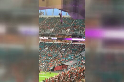 ببینید | لحظه نجات هیجان‌انگیز گربه بازیگوش پس از سقوط هولناک از سقف استادیوم