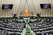 دلخوش:مجلس با شعار شفافیت روی کار آمد اما آن را تصویب نمی کند