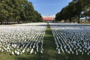 ببینید | نصب بیش از ۶۵۰ هزار پرچم سفید به یاد جان‌باختگان کوید۱۹