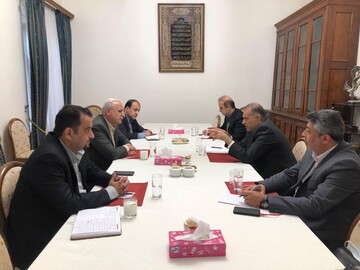 دیدار مدیرعامل سازمان منطقه آزاد انزلی با سفیر ایران در روسیه