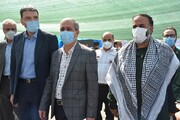 بیش از ۴۵ درصد از جمعیت هدف در البرز واکسینه شدند