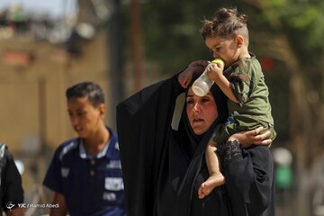 تصاویر | پیاده روی اربعین حسینی - عراق