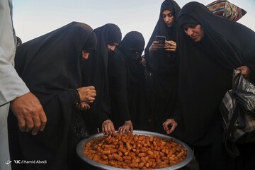 تصاویر | پیاده روی اربعین حسینی - عراق