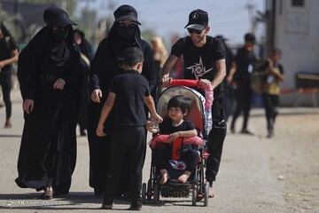 تصاویر | پیاده روی اربعین حسینی - عراق