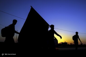 تصاویر | پیاده روی اربعین حسینی - عراق