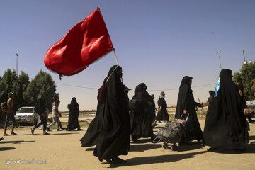 تصاویر | پیاده روی اربعین حسینی در عراق