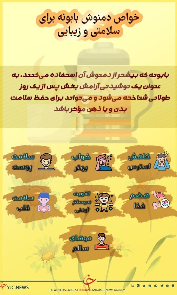 ببینید | خواص دمنوش بابونه برای سلامتی و زیبایی