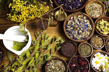 اینفوگرافیک | این داروهای گیاهی را برای درمان کرونا مصرف کنید