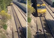 ببینید | لحظه نفس‌گیر نجات یک سگ از روی ریل قطار