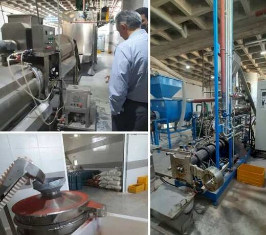آغاز به کار اولین کارخانه اختصاصی تولید غذای ماهیان زینتی در قزوین 