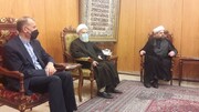حضور امیرعبداللهیان در مجلس اعلای شیعیان لبنان