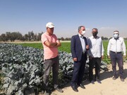 افتتاح پروژه آبیاری نوین در مهرشهر کرج با صرفه جویی ۴۵ درصدی مصرف آب