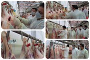 افزایش ۳۲ درصدی نظارت بهداشتی دامپزشکی در عید قربان خراسان رضوی