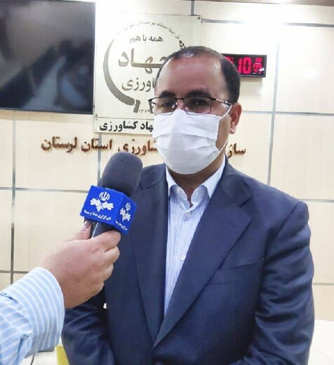 تهیه ۲۶ هزار تن انواع بذر آبی و دیم گندم ویژه مناطق سردسیر و گرمسیر لرستان