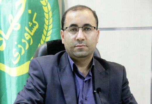طرح جهش تولید  در دیمزار ۲۳۵ هزار هکتار از اراضی لرستان را در بر می‌گیرد