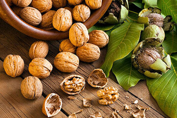 اینفوگرافیک | خواص گردو برای بانوان!