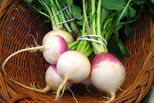 ببینید | فواید شلغم خوری