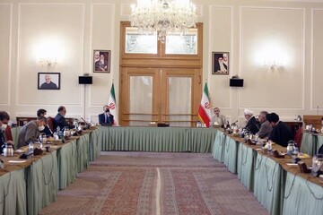 امیرعبداللهیان: از همه ظرفیت‌ها برای حمایت فلسطین استفاده خواهیم کرد