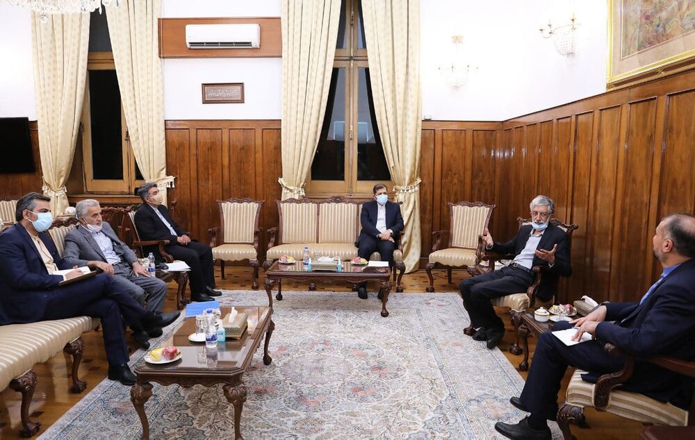 دیدار صمیمانه امیرعبداللهیان با حداد عادل و برخی از مدیران بنیاد سعدی