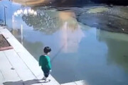 ببینید | لحظه نجات کودک پارس‌آبادی از غرق شدن توسط راننده پراید