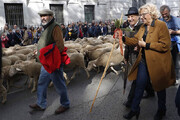 ببینید | رژه گوسفندان در خیابان‌های مادرید