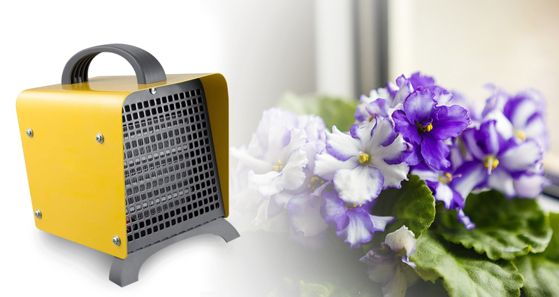 انتخاب بخاری ارزان برای گرمایش گلخانه گل های زینتی