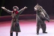 ببینید | لحظه هولناک حمله ناگهانی خرس عصبی به مربی‌اش در سیرک