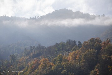 زیبایی خیره کننده روستای شاه می‌لرزان استان گیلان