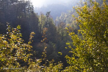 زیبایی خیره کننده روستای شاه می‌لرزان استان گیلان