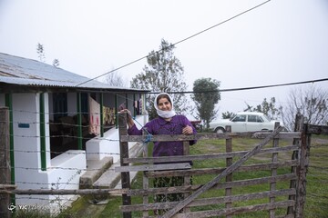 زیبایی خیره کننده روستای شاه می‌لرزان استان گیلان