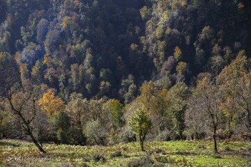 زیبایی خیره کننده روستای شاه می‌لرزان استان گیلان