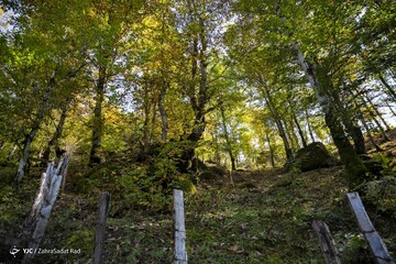 زیبایی خیره کننده روستای شاه می‌لرزان استان گیلان