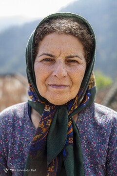 زیبایی خیره کننده روستای شاه می‌لرزان استان گیلان
