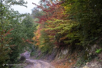 زیبایی خیره کننده روستای شاه می‌لرزان استان گیلان