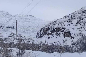 تهران سردتر می‌شود/ کولاک و برف در ارتفاعات