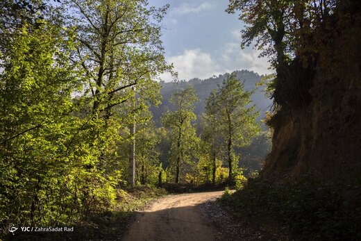 زیبایی خیره کننده روستای شاه می‌لرزان استان گیلان