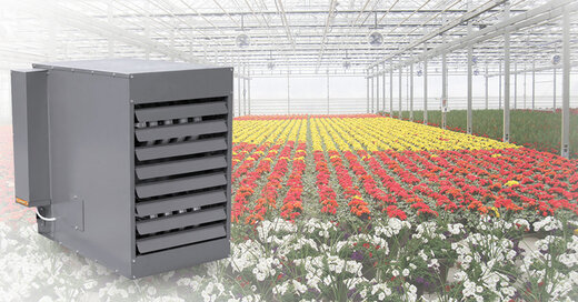 انتخاب بخاری ارزان برای گرمایش گلخانه گل های زینتی