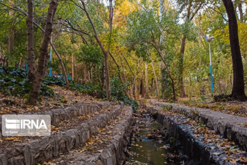 تصاویر | بازی رنگ‌ها در طبیعت پاییزی عباس آباد