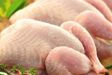 آیا قیمت مرغ تا پایان پاییز کاهش می یابد؟
