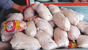 هر کیلو مرغ در بازارهای جهانی چند دلار است؟