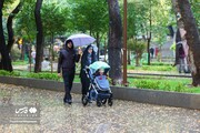بارش باران در تهران/ کاهش ۶ تا ۱۲ درجه‌ای دما تا جمعه