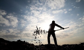 تصاویری زیبا از سرزمین فلفل