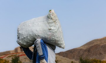 تصاویری زیبا از سرزمین فلفل