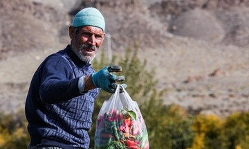 تصاویری زیبا از سرزمین فلفل