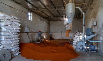 تصاویری زیبا از سرزمین فلفل