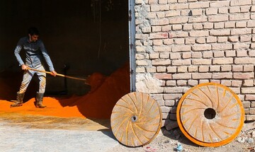 تصاویری زیبا از سرزمین فلفل