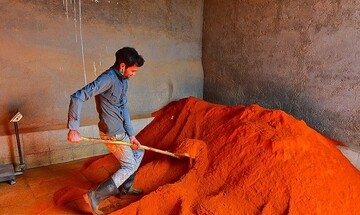 تصاویری زیبا از سرزمین فلفل